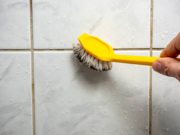 Best Home Mold Removal  in Country Walk, FL