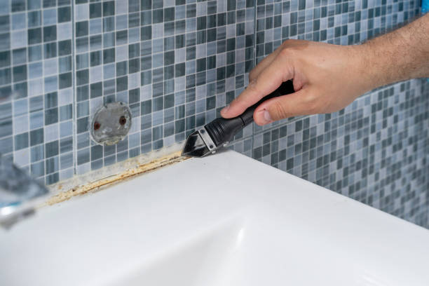 Best Mold Testing  in Country Walk, FL